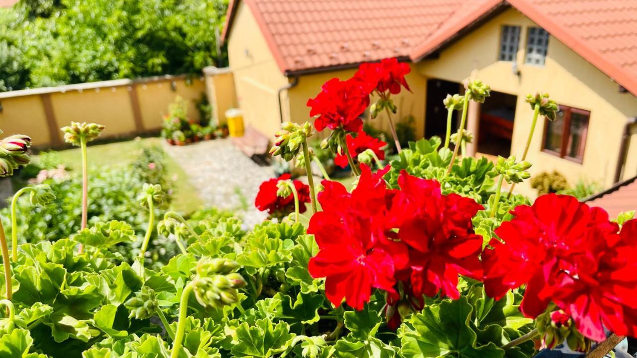 Leto House Apartment Targu Jiu Exterior photo